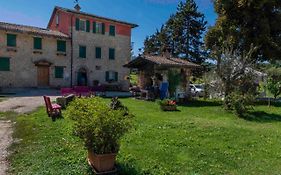 Podere Pratizzoli
