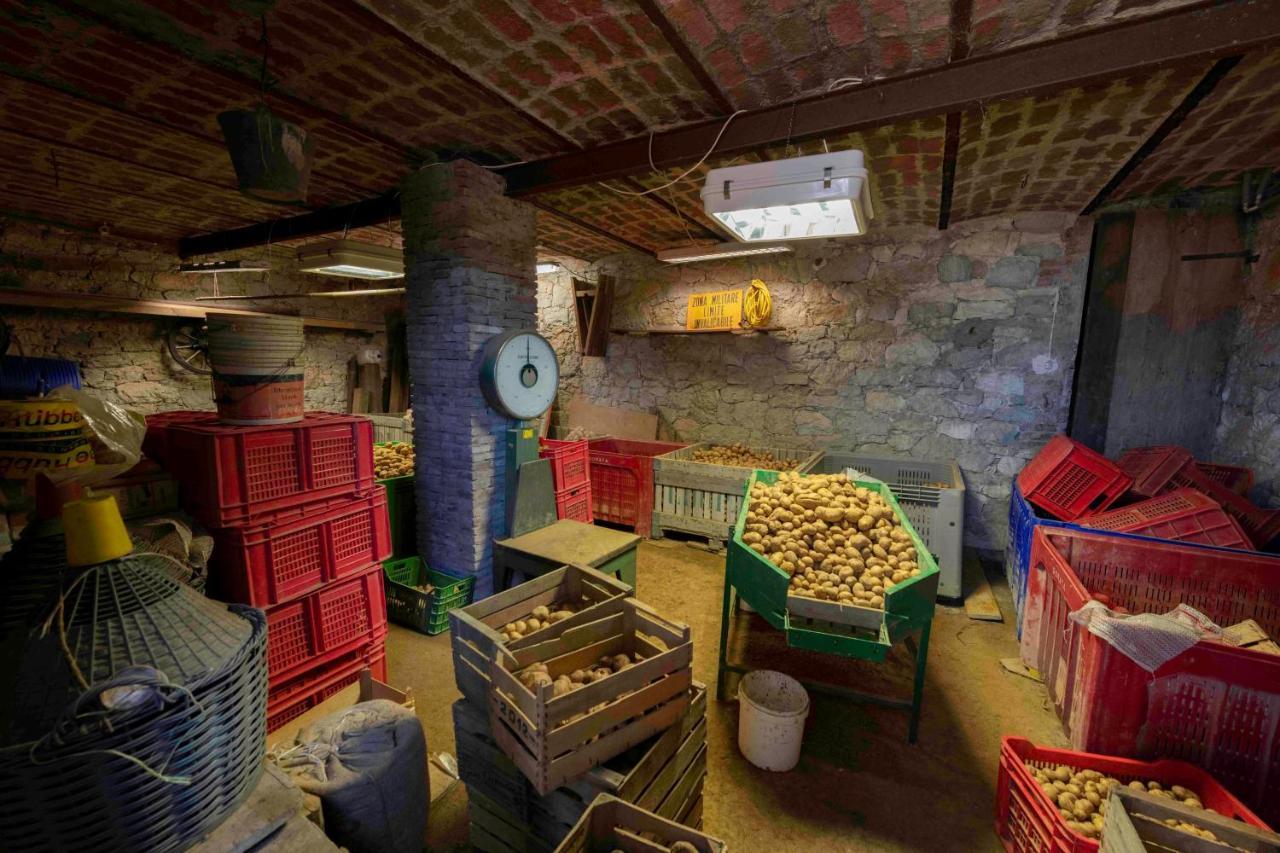 Podere Pratizzoli Tole Esterno foto