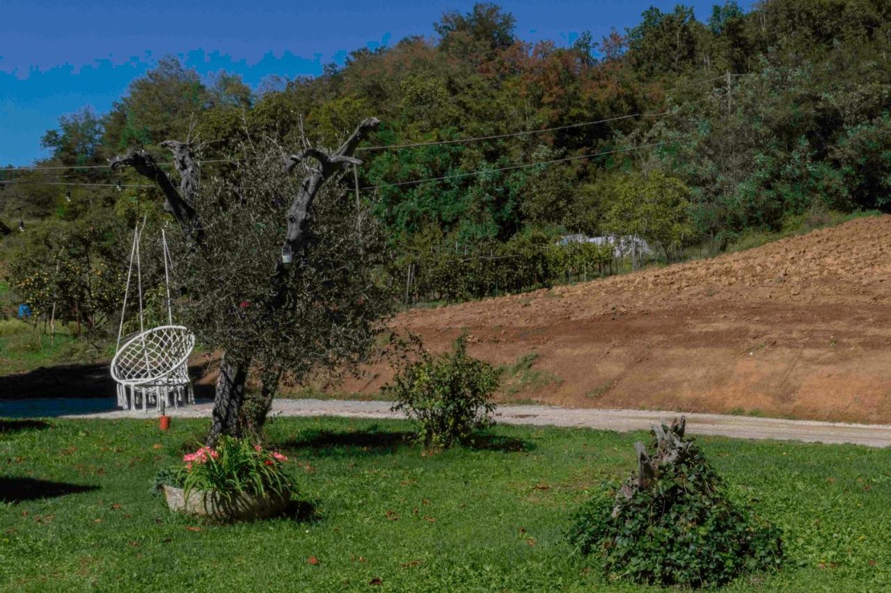 Podere Pratizzoli Tole Esterno foto
