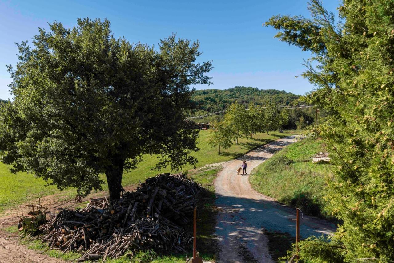 Podere Pratizzoli Tole Esterno foto